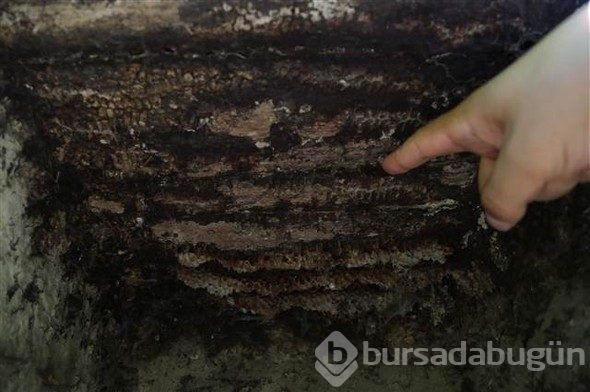 Bursa'da bulundu, dünyada başka örneği yok