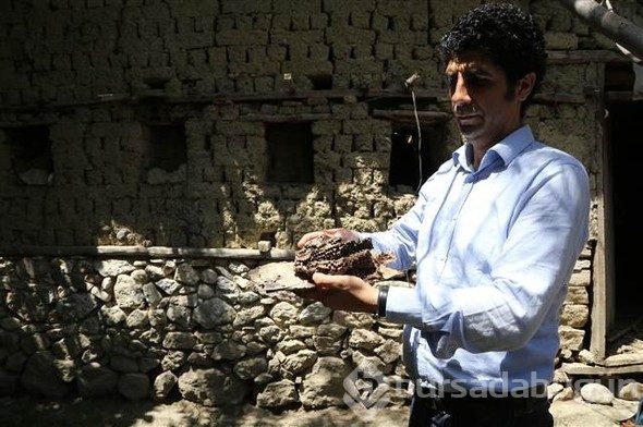 Bursa'da bulundu, dünyada başka örneği yok