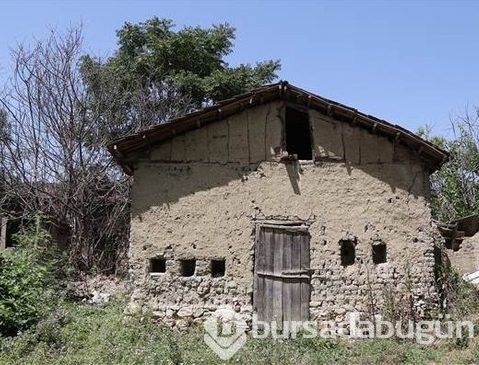 Bursa'da bulundu, dünyada başka örneği yok