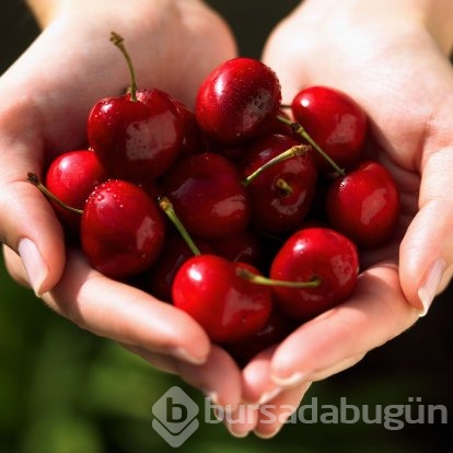 Seviyoruz ama riskleri biliyor muyuz? Bu sayıyı geçmeyin!
