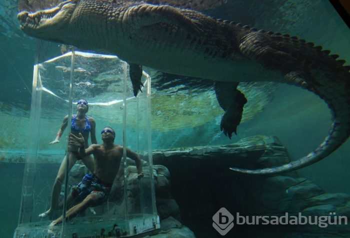 Adrenalin tutkunlarının sınırları zorladığı 165 dolarlık tehlikeli tatil