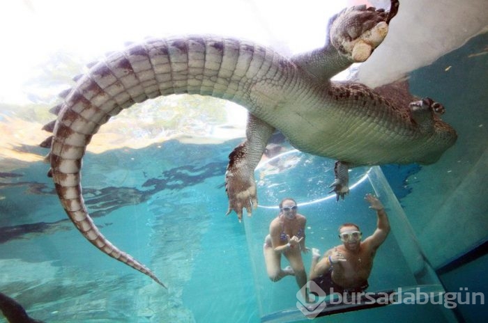 Adrenalin tutkunlarının sınırları zorladığı 165 dolarlık tehlikeli tatil