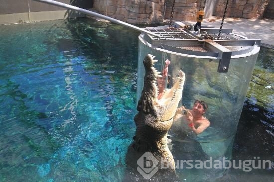 Adrenalin tutkunlarının sınırları zorladığı 165 dolarlık tehlikeli tatil