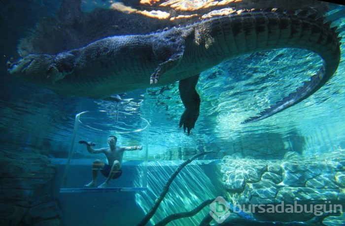 Adrenalin tutkunlarının sınırları zorladığı 165 dolarlık tehlikeli tatil