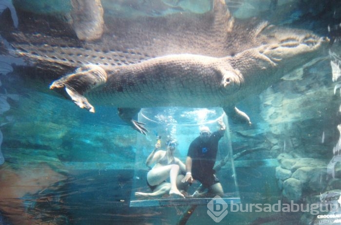 Adrenalin tutkunlarının sınırları zorladığı 165 dolarlık tehlikeli tatil