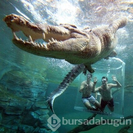 Adrenalin tutkunlarının sınırları zorladığı 165 dolarlık tehlikeli tatil