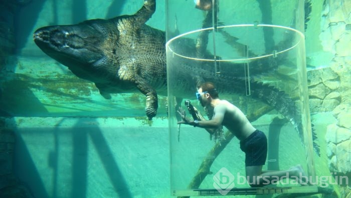 Adrenalin tutkunlarının sınırları zorladığı 165 dolarlık tehlikeli tatil