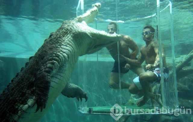 Adrenalin tutkunlarının sınırları zorladığı 165 dolarlık tehlikeli tatil