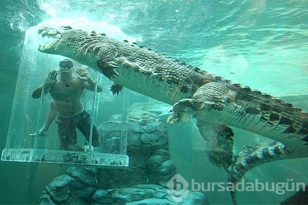 Adrenalin tutkunlarının sınırları zorladığı 165 dolarlık tehlikeli tatil