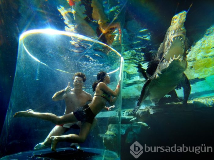 Adrenalin tutkunlarının sınırları zorladığı 165 dolarlık tehlikeli tatil