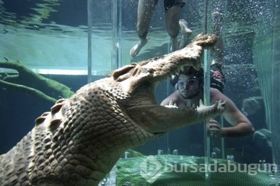 Adrenalin tutkunlarının sınırları zorladığı 165 dolarlık tehlikeli tatil