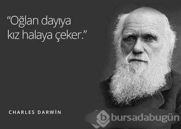 Sosyal medyada herkes bu sözleri paylaşıyor!