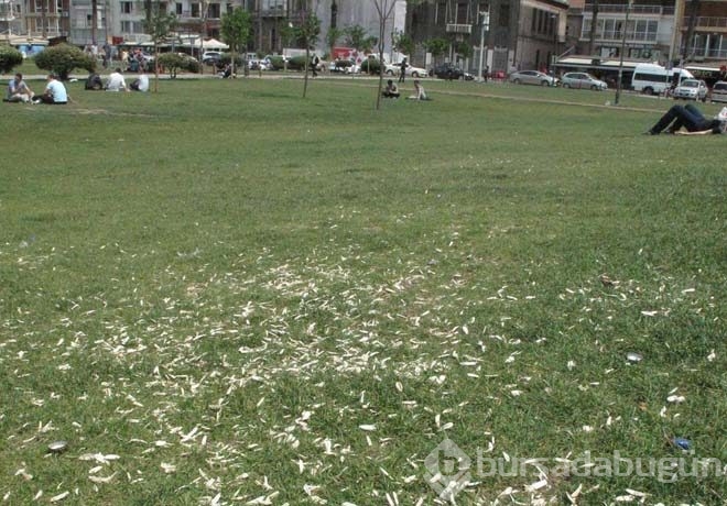İzmir'deki dev ekranda kendilerini görünce şoke oldular