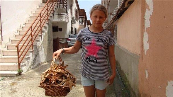 Marmara'da korkutan görüntü... Yüzlercesi kıyıya vurdu