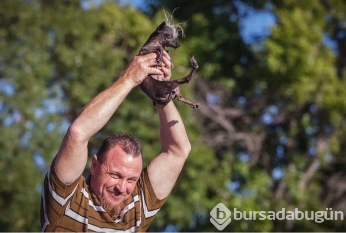 İşte dünyanın en çirkin köpeği