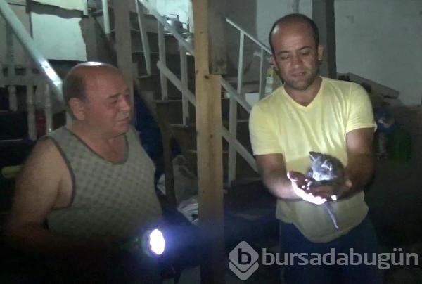Bursa'da gece yarısı korkutan yangın!