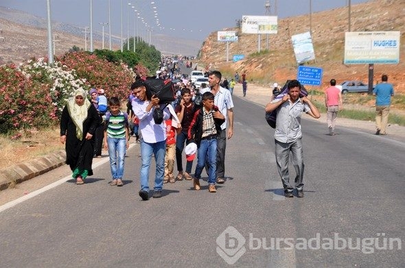 Büyük hareketlilik! Suriye'ye gitmek için yollara döküldüler