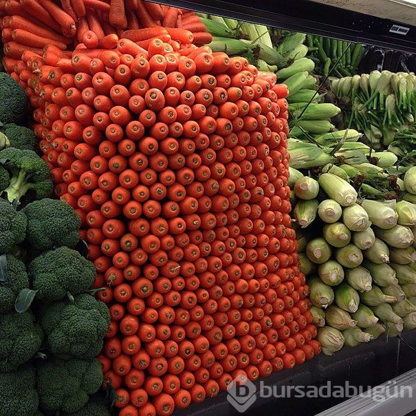 Mükemmeliyetçilik zor zanaat dedirten fotoğraf kareleri