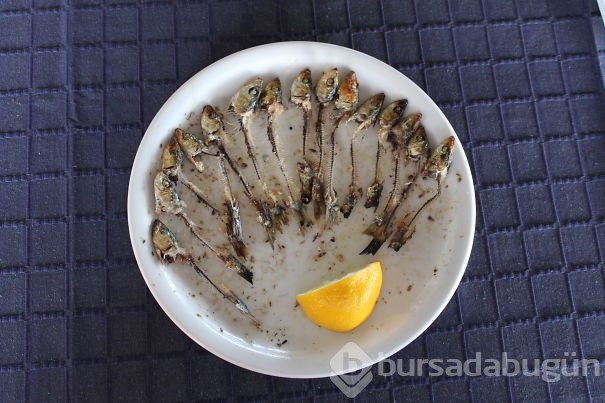 Mükemmeliyetçilik zor zanaat dedirten fotoğraf kareleri