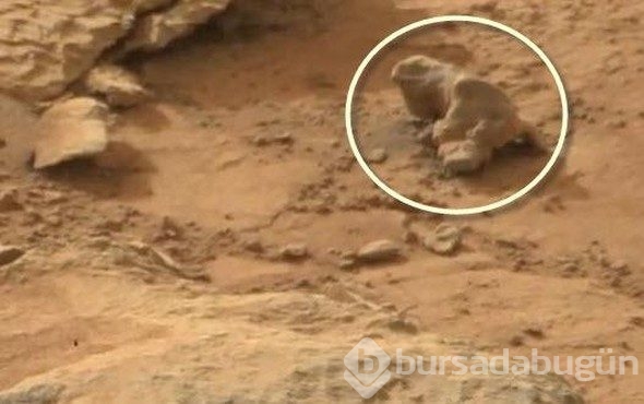 O kızın Mars'da  ne işi var? İnanamayacaksınız ama NASA yayınladı 