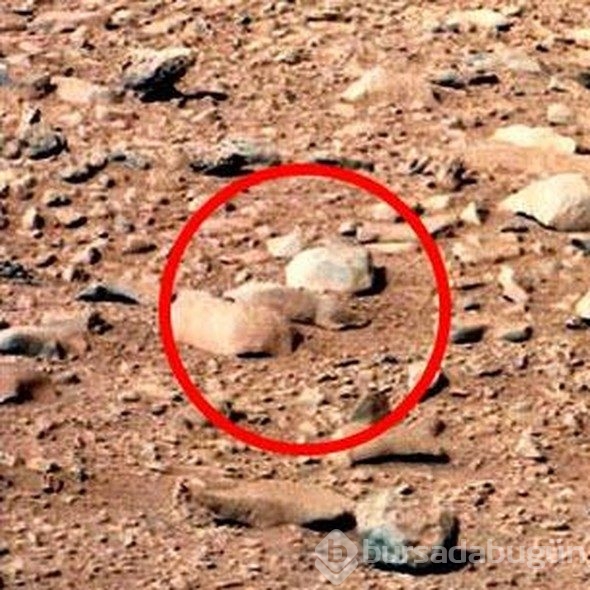 O kızın Mars'da  ne işi var? İnanamayacaksınız ama NASA yayınladı 
