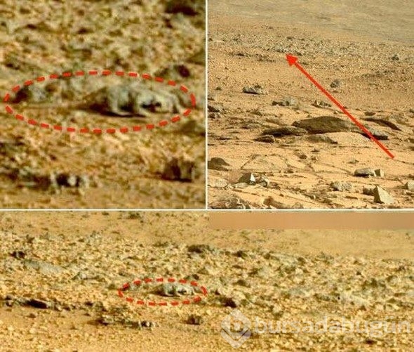O kızın Mars'da  ne işi var? İnanamayacaksınız ama NASA yayınladı 