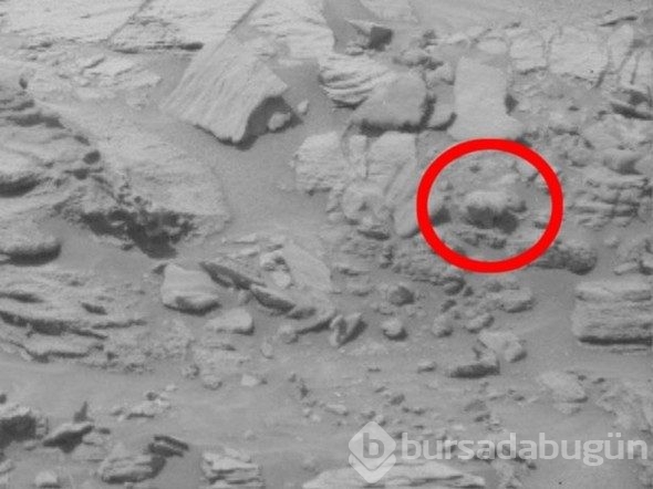O kızın Mars'da  ne işi var? İnanamayacaksınız ama NASA yayınladı 