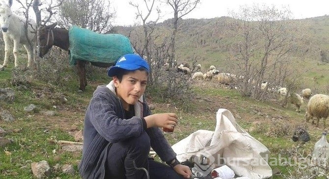 Çemişgezekli TEOG şampiyonu Mahir artık Robert'li oldu