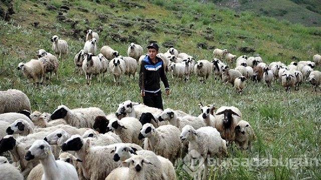 Çemişgezekli TEOG şampiyonu Mahir artık Robert'li oldu