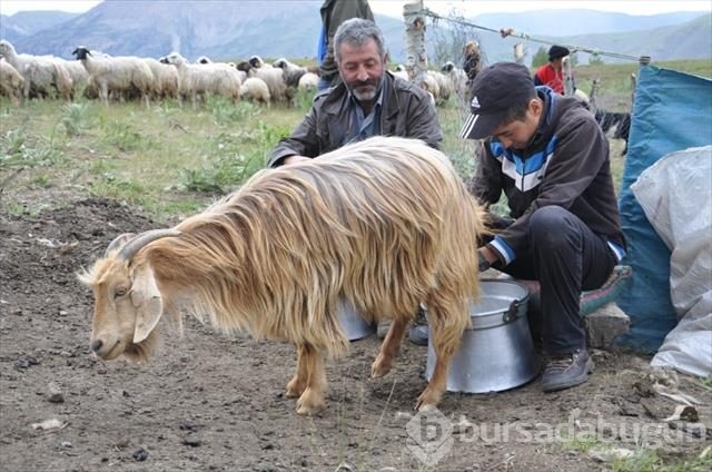 Çemişgezekli TEOG şampiyonu Mahir artık Robert'li oldu