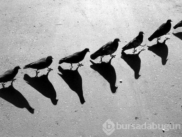 Gerçeküstü siyah beyaz 20 fotoğraf