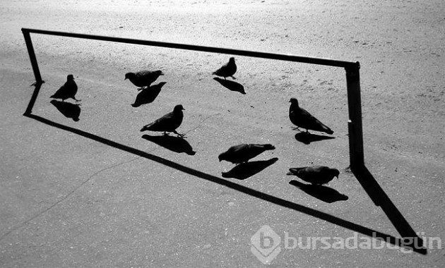 Gerçeküstü siyah beyaz 20 fotoğraf