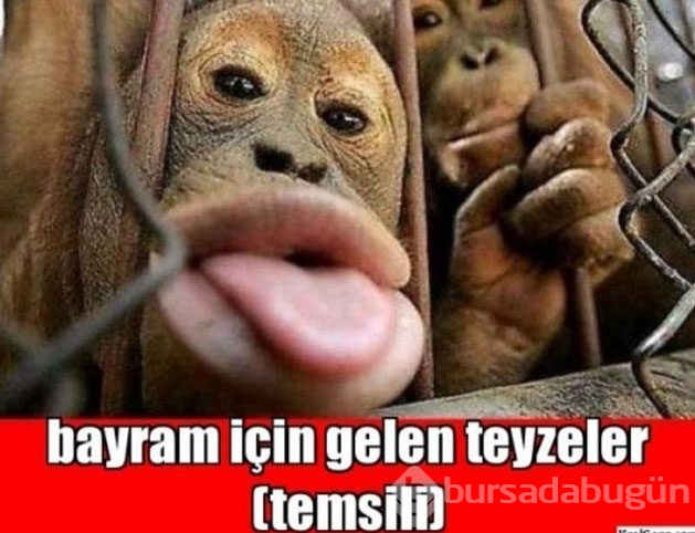 En komik bayram caps'leri Foto Galerisi - 2 - Bursadabugun.com