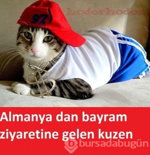 En komik bayram caps'leri
