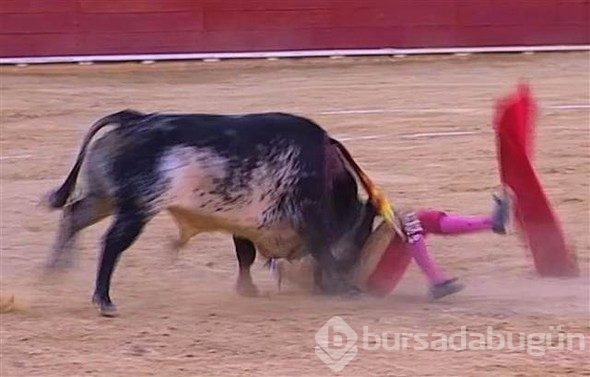 Ölen matador trollerin hedefi oldu