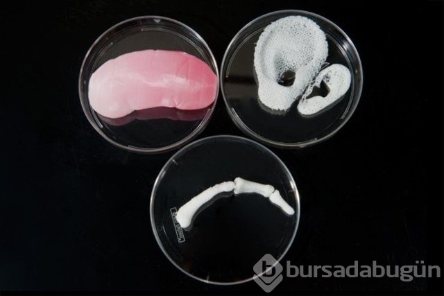 3 Boyutlu Yazıcıyla üretildiler