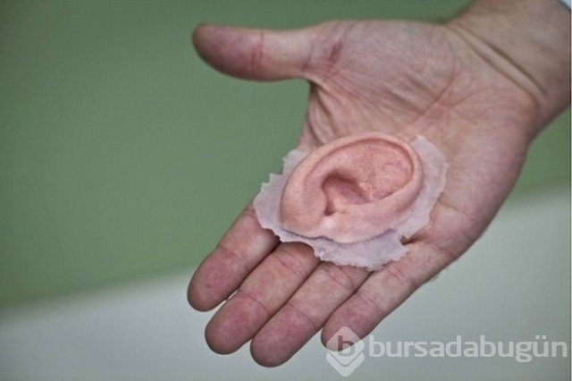 3 Boyutlu Yazıcıyla üretildiler