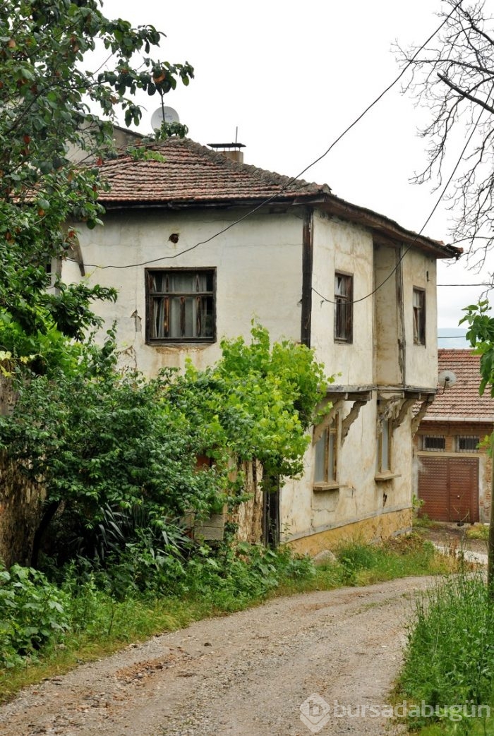 Burnumuzun dibinde keşfedilmemiş cennet: Orhangazi'nin Gürle Köyü 