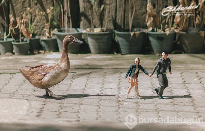 Düğün fotoğrafçılığında artık bu moda: Minyatür çiftler