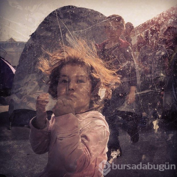 iPhone Fotoğraf Ödülleri'nin kazananları belli oldu
