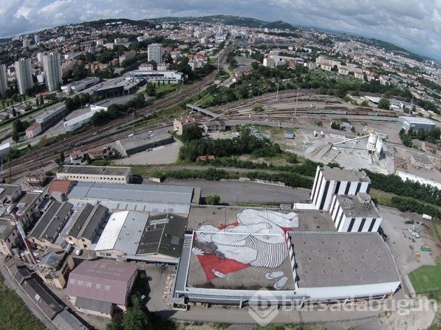 Duvarlar yetmeyince sanat için çatılara çıktılar