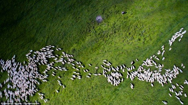 İşte en iyi drone fotoğrafları