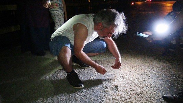 Milyonlarcası bir gecede öldü