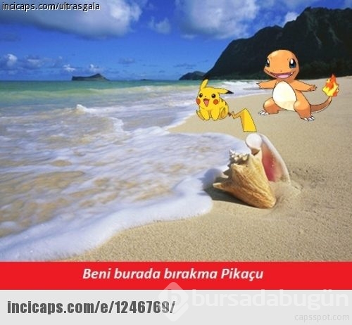 Çöp dökmeye üşenen Türkiye Pokemon avında