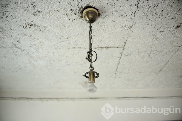 Hayatlarına yer açtılar