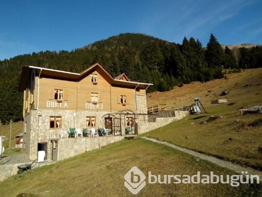 Dünyanın ilk ve tek 'Tuhafiye' oteli  Rize'de