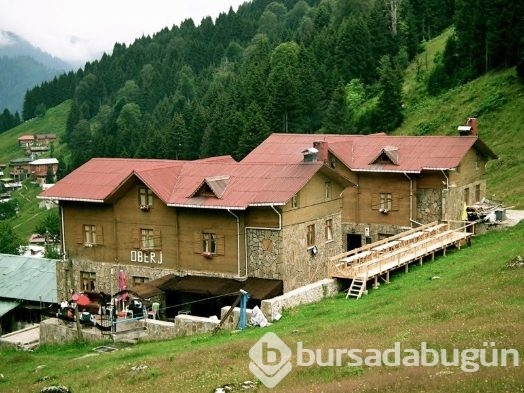 Dünyanın ilk ve tek 'Tuhafiye' oteli  Rize'de