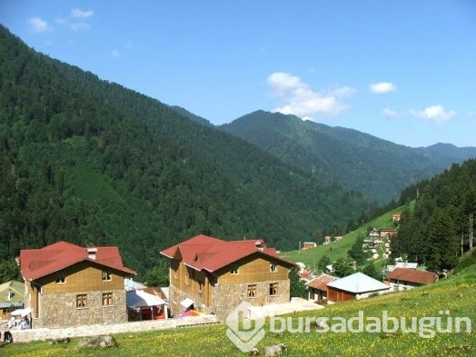 Dünyanın ilk ve tek 'Tuhafiye' oteli  Rize'de