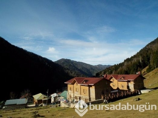 Dünyanın ilk ve tek 'Tuhafiye' oteli  Rize'de