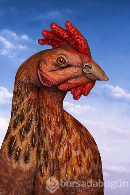 Eliyle sanatını konuşturdu